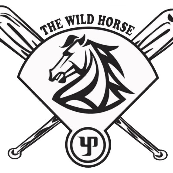 vesa-wild-horse-foundation